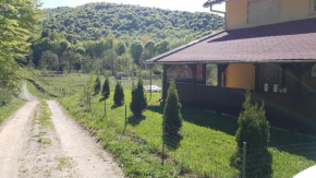 Casa Alina